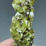 Titanita, Albita
85 mm x 34 mm.. Cristal mayor: 12 mm. Masa: 95 g.
(Autor: Carles Millan)