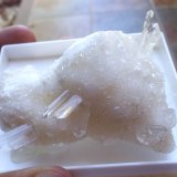 Yeso
Cristales de hasta 1,5 cm.
(Autor: Cristalino)