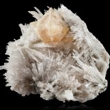 Powellita en Scolecita
17 x 15 x 12 cm
(Autor: Museo MIM)