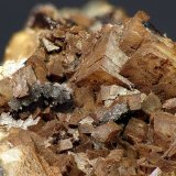 Dolomita (variedad dolomita ferrífera), Siderita, Cuarzo
c.v. 14 x 10 mm
(Autor: Javier Rodriguez)
