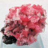 Rodonita, cuarzo, esfalerita, pirita
53mm x 52mm x 40mm. Cristal principal de rodonita: 10mm altura, 6mm anchura, 1mm grosor. Masa: 112g
(Autor: Carles Millan)