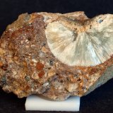 Prehnita
9.5 x 5.5 cm
(Autor: Pedro Antonio)
