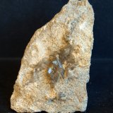Celestina
9 x 6.5 cm
(Autor: Pedro Antonio)