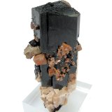 Aegirina, zircón, ortoclasa, parisita-(Ce)
82 mm x 66 mm. Cristal principal: 82 mm de altura
(Autor: Carles Millan)