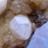 Analcima sobre calcita
9 x 6 cm (cristal de analcima de 1 cm)
(Autor: Cristalino)