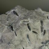 Magnesita (variedad giobertita)
c.v. 28 mm
(Autor: Javier Rodriguez)