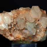 Celestina
9 x 5 cm
(Autor: Pedro Antonio)