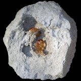 Topacio
8,2 x 7,1 cm.
(Autor: Xavier bordas)