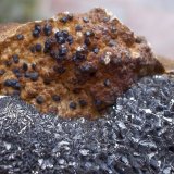 Pirolusita, Fluorapatito (Grupo Apatito) y goethita pseudomórfica de siderita
7 x 7 cm
(Autor: Cristalino)