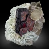 Tantalita-(Mn) con Albita y Moscovita
8,5 x 9 x 10,5 cm
(Autor: Museo MIM)