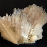 Escolecita (Scolecita)
9,5 x 6.5 cm
(Autor: Pedro Antonio)