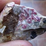 Eritrina
4 x 3 cm
(Autor: Cristalino)