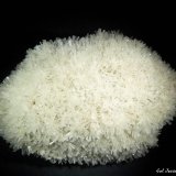Yeso
100x80 mm.
(Autor: Jesus Franquesa Baucells)