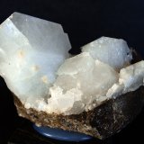 Celestina
7 x 5.5 cm
(Autor: Pedro Antonio)