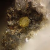 Wulfenita
Cristal 0,2 mm
(Autor: Jorgina-Agusti-Màrius)