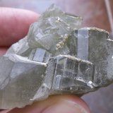 Fluorapatito (Grupo Apatito) y Moscovita
4 x 3 cm
(Autor: Cristalino)