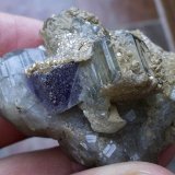 Fluorapatito (Grupo Apatito), Moscovita y Fluorita
4 x 3 cm
(Autor: Cristalino)