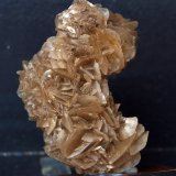 Yeso
8 x 5.5 cm
(Autor: Pedro Antonio)