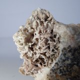 Aragonito
Zona mineralizada 3,9 x 3 cm
(Autor: heat00)