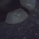 Zeolitas
0,34 mm el cristal
(Autor: Jose Bello)