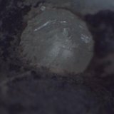 Zeolitas
0,41 mm el cristal
(Autor: Jose Bello)