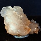 Celestina
5 x 3 cm
(Autor: Pedro Antonio)