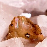 Nacrita, Calcopirita, Dolomita
1cm
(Autor: Obsi)