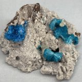 Cavansita
5,5cm de largo y 2cm de alto
(Autor: castrominerals)