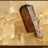 Allanita-(Ce)
FoV: 1,5 x 0,9 mm
(Autor: Jose Angel Carrero)