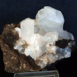 Celestina
7 x 5 cm
(Autor: Pedro Antonio)
