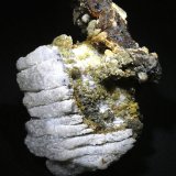 Forsterita.
79x62 mm.
(Autor: Jesus Franquesa Baucells)
