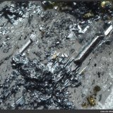 Seligmannita
FoV: 1,5 x 1,1 mm
(Autor: Jose Angel Carrero)