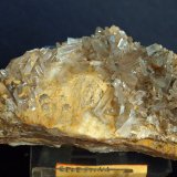 Celestina
8 x 5 cm
(Autor: Pedro Antonio)