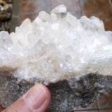 Yeso
12 x 8 cm
(Autor: Cristalino)