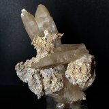 Celestina
11 x 8 cm
(Autor: Pedro Antonio)
