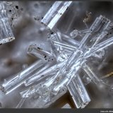 Dawsonita
FoV: 1,2 x 0,8 mm
(Autor: Jose Angel Carrero)