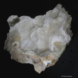 Cuarzo (variedad calcedonia)
80x70 mm.
(Autor: Jesus Franquesa Baucells)