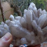 Cuarzo
16 cm de ancho x 8 cm de fondo (altura variable, el cristal más largo mide 6 cm)
(Autor: Cristalino)