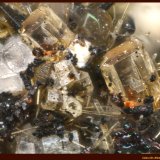 Nefelina con Perovskita, Augita y Fluorapatito
FoV: 1,2 x 0,8 mm
(Autor: Jose Angel Carrero)