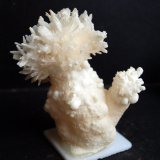 Aragonito
7 x 5.5 cm
(Autor: Pedro Antonio)