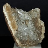 Celestina
9 x 7 cm
(Autor: Pedro Antonio)