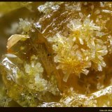 Mimetita Wulfenita
FoV: 2 x 1,3 mm
(Autor: Jose Angel Carrero)