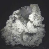 Galena y Cuarzo
25x25 mm.
(Autor: Jesus Franquesa Baucells)