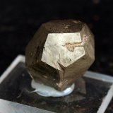 Pirita
1.5 x 2 cm
(Autor: Pedro Antonio)