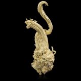 Oro
5,5 x 4,0 x 12 cm
(Autor: Museo MIM)