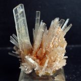 Yeso
6 x 4.5 cm
(Autor: Pedro Antonio)