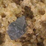 Anatasa
Cristal 1,3 mm
(Autor: Jorgina-Agusti-Màrius)