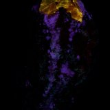 Zircon, Apatito, Calcita, Biotita,
42 x 30 mm
(Autor: UVmineral)