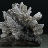 Yeso
6 x 4 cm
(Autor: Ángel Rodríguez Benavent)