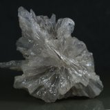 Yeso
6 x 4 cm
(Autor: Ángel Rodríguez Benavent)